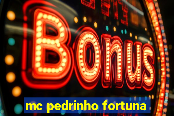 mc pedrinho fortuna